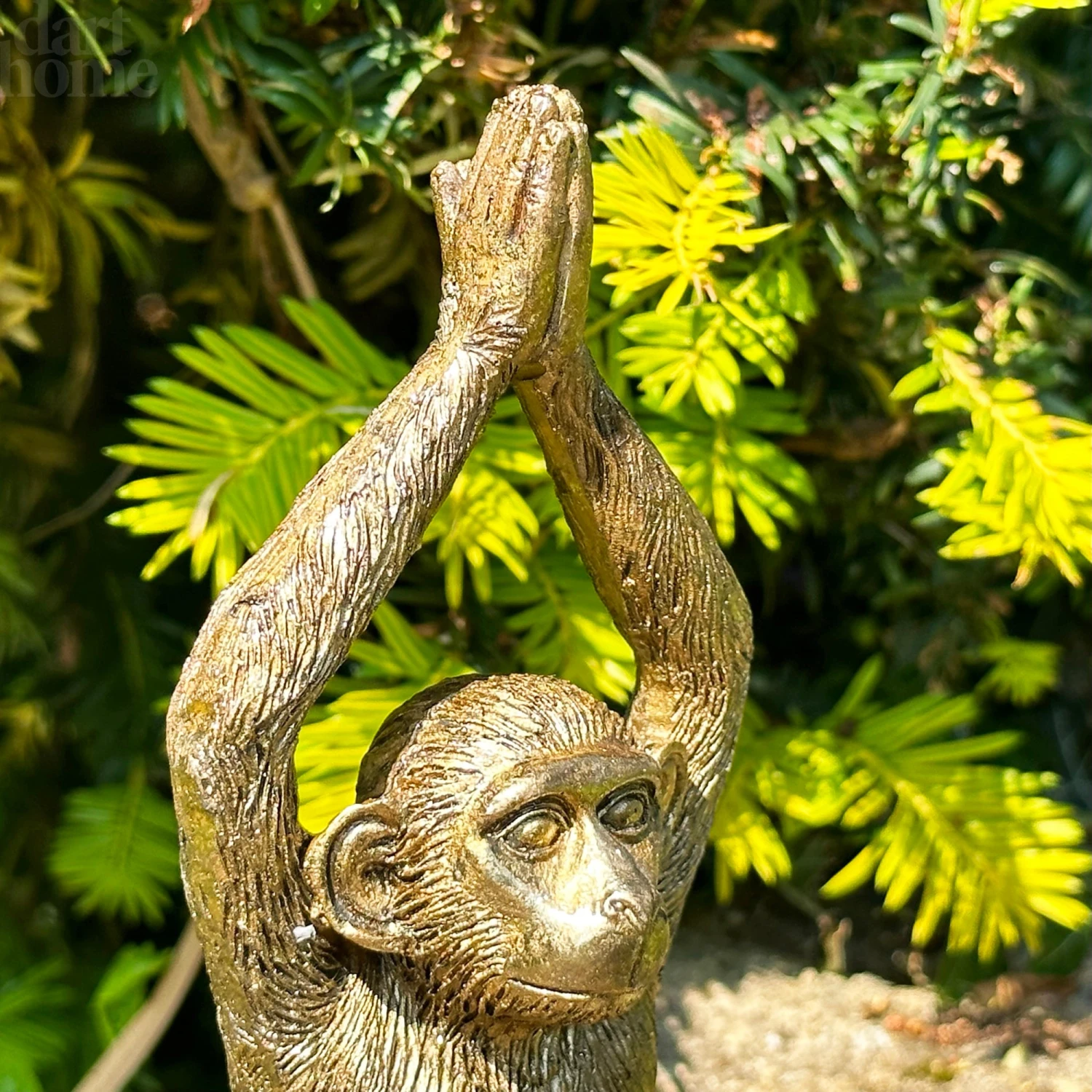 Darthome Limited Gold Yoga Monkey Figurine C 4 Darthome Limited Gold Yoga Monkey Figurine C - Image 4