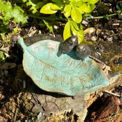 Darthome Limited Birds On Leaf Bird Feeder 8 Darthome Limited Birds On Leaf Bird Feeder -Decor Garden Shop IMG 8857 JPEG