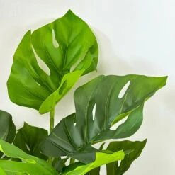 Darthome Limited Artificial Monstera Swiss Cheese Plant 5 Darthome Limited Artificial Monstera Swiss Cheese Plant -Decor Garden Shop IMG 8994 JPEG