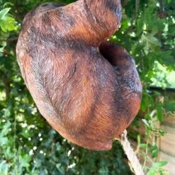 Darthome Limited Hanging Sloth Garden Ornament 60cm -Decor Garden Shop IMG E0010 editedG