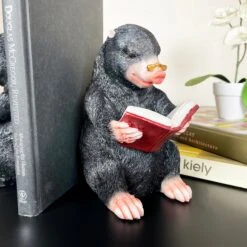 Darthome Limited Black Reading Mole Bookends -Decor Garden Shop IMG E0138 editedY