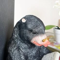 Darthome Limited Black Reading Mole Bookends -Decor Garden Shop IMG E0139 editedZ