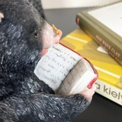 Darthome Limited Black Reading Mole Bookends -Decor Garden Shop IMG E0140 editedAA