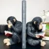 Darthome Limited Black Reading Monkey Bookends