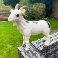 Darthome Limited White Goat Garden Ornament 20cm -Decor Garden Shop IMG E0496