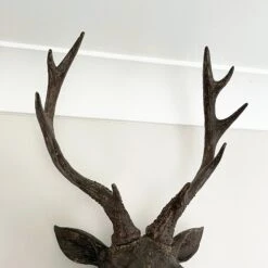 Darthome Limited Faux Brown Stags Head Wall Bust 47cm 7 Darthome Limited Faux Brown Stags Head Wall Bust 47cm -Decor Garden Shop IMG E0800