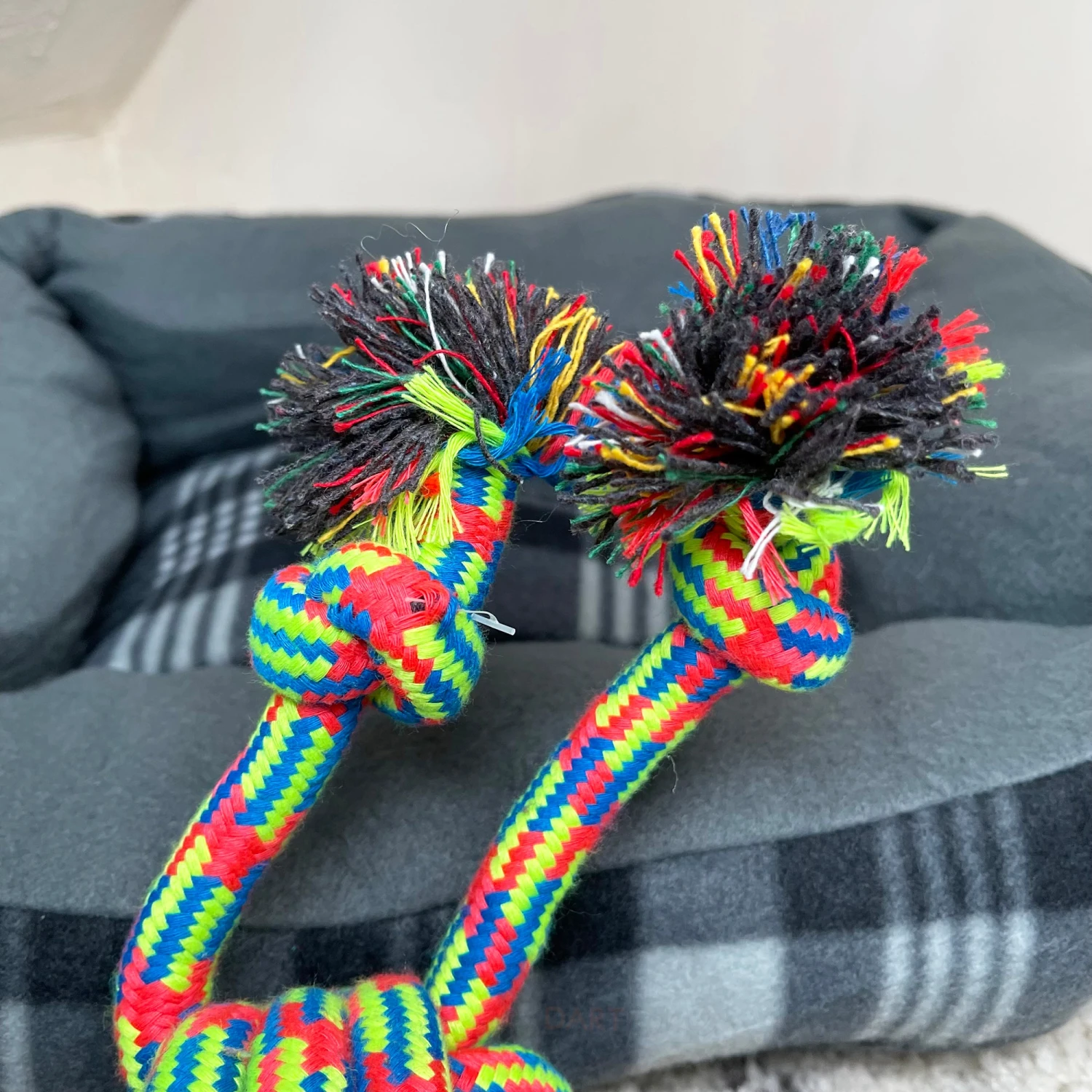 Darthome Limited Coloured Quad Rope Knot Ball Dog Chew Toy 2 Darthome Limited Coloured Quad Rope Knot Ball Dog Chew Toy - Image 2