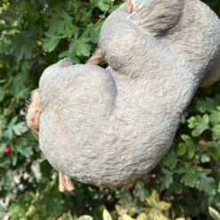 Darthome Limited Hanging Grey Koala Garden Ornament A -Decor Garden Shop IMG E1062 1