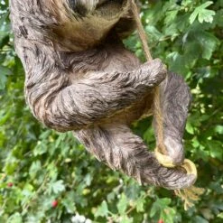 Darthome Limited Resin Hanging Sloth Garden Ornament 7 Darthome Limited Resin Hanging Sloth Garden Ornament -Decor Garden Shop IMG E1069 1