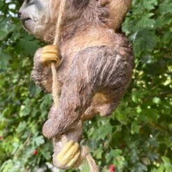 Darthome Limited Resin Hanging Sloth Garden Ornament -Decor Garden Shop IMG E1070