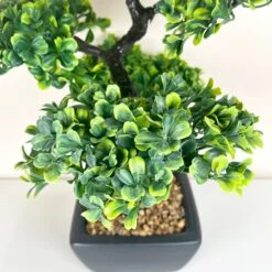 Darthome Limited Artificial Ficus Bonsai Tree Plant In Black Pot 37cm -Decor Garden Shop IMG E1143 edited32