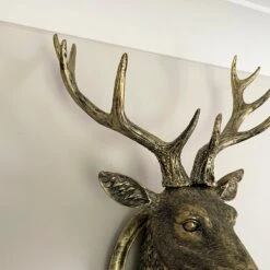 Darthome Limited Antique Gold Stag Wall Head Large 9 Darthome Limited Antique Gold Stag Wall Head Large -Decor Garden Shop IMG E1353 1