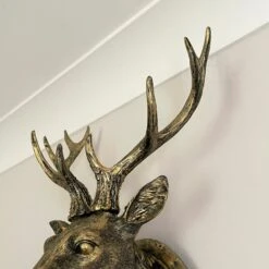 Darthome Limited Antique Gold Stag Wall Head Large 10 Darthome Limited Antique Gold Stag Wall Head Large -Decor Garden Shop IMG E1354 1
