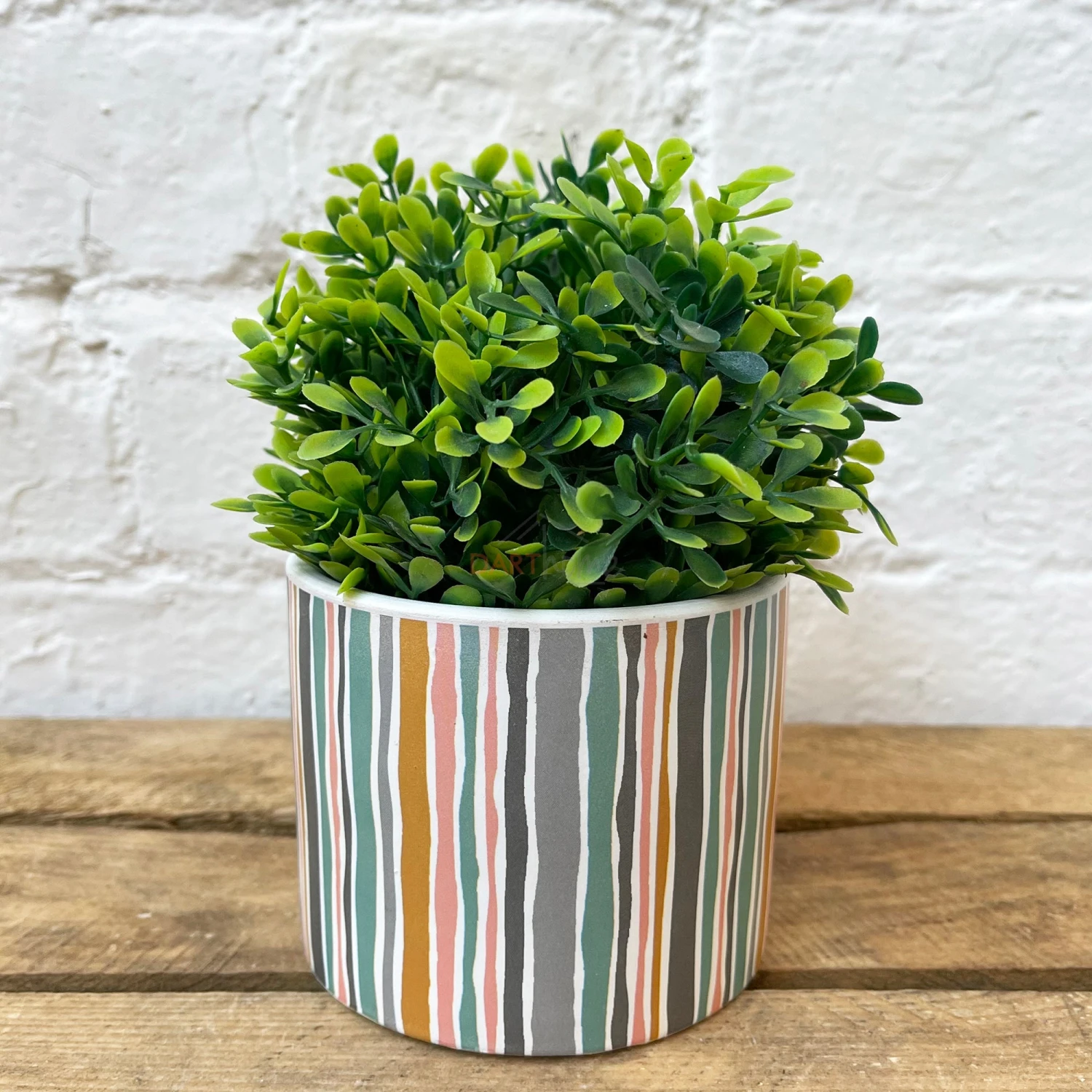 Darthome Limited Ceramic Coloured Modern Stripe Indoor Display Plant Pots 2 Darthome Limited Ceramic Coloured Modern Stripe Indoor Display Plant Pots - Image 2