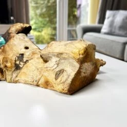 Darthome Limited Molten Glass Double Candle Holder On Teak Root Stand -Decor Garden Shop IMG E1430