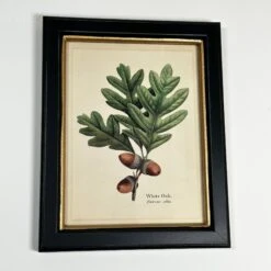 Darthome Limited Forest White Oak Acorns Toile Framed Print -Decor Garden Shop IMG E1830 a7380d2a 1f5a 45fb 9363 bff75940af88