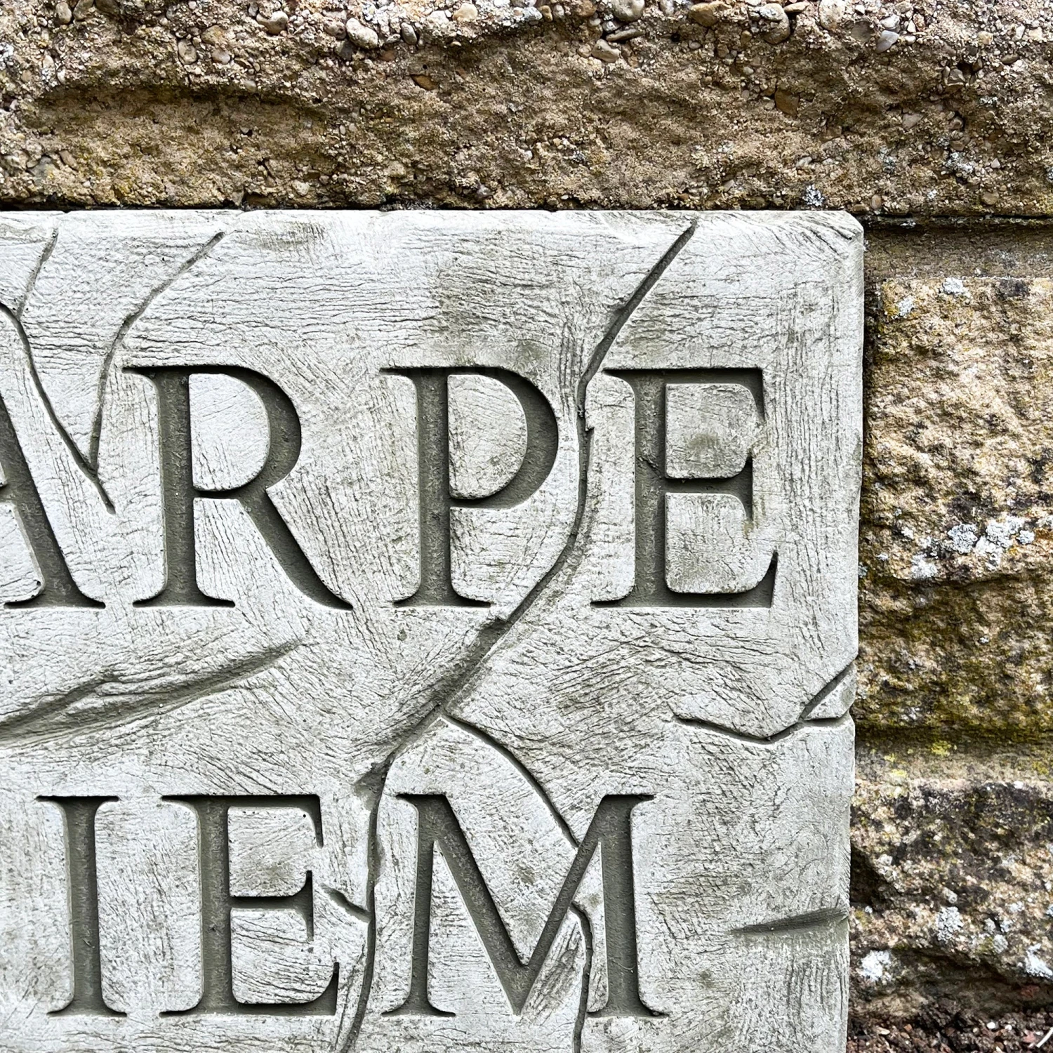 Darthome Limited Stone Carpe Diem Wall Plaque 3 Darthome Limited Stone Carpe Diem Wall Plaque - Image 3