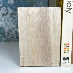 Darthome Limited Wooden House Bookends Set -Decor Garden Shop IMG E2231