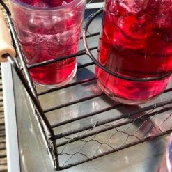 Darthome Limited 6pc Carafe And Glass Set With Carrier 15 Darthome Limited 6pc Carafe And Glass Set With Carrier -Decor Garden Shop IMG E2338 6bd70d78 c32b 4d4c acec 1d0dd5f3e88f