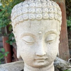 Darthome Limited Stone Buddha Head Planter 13x23cm -Decor Garden Shop IMG E2748