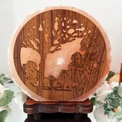 Darthome Limited Elephant Sunset Salt Lamp 17 Darthome Limited Elephant Sunset Salt Lamp -Decor Garden Shop IMG E2972