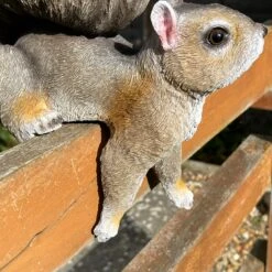 Darthome Limited Resin Fence Mounted Squirrel Bird Feeder 11 Darthome Limited Resin Fence Mounted Squirrel Bird Feeder -Decor Garden Shop IMG E2975