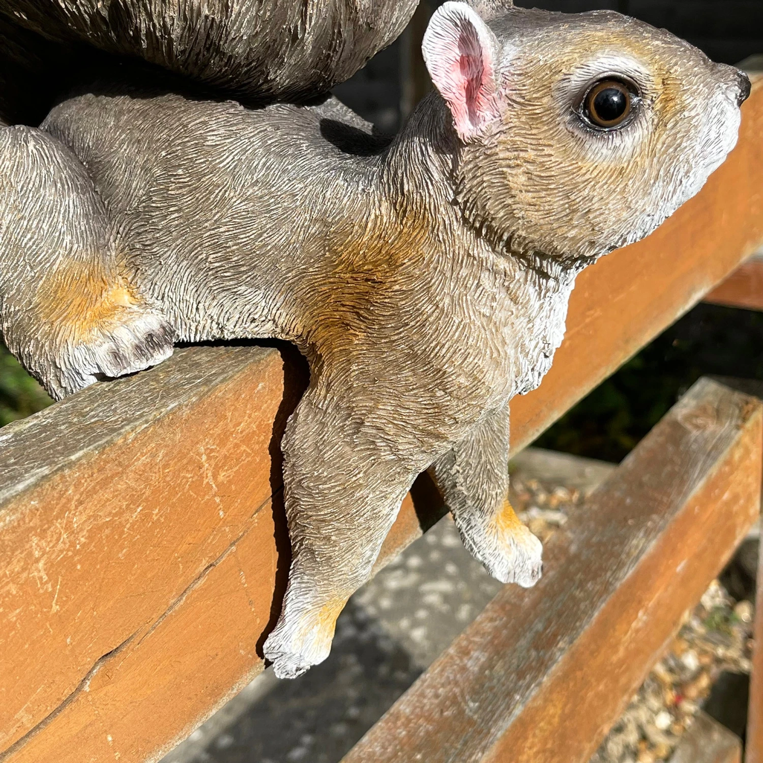 Darthome Limited Resin Fence Mounted Squirrel Bird Feeder 4 Darthome Limited Resin Fence Mounted Squirrel Bird Feeder - Image 4