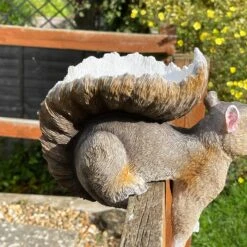 Darthome Limited Resin Fence Mounted Squirrel Bird Feeder 12 Darthome Limited Resin Fence Mounted Squirrel Bird Feeder -Decor Garden Shop IMG E2976