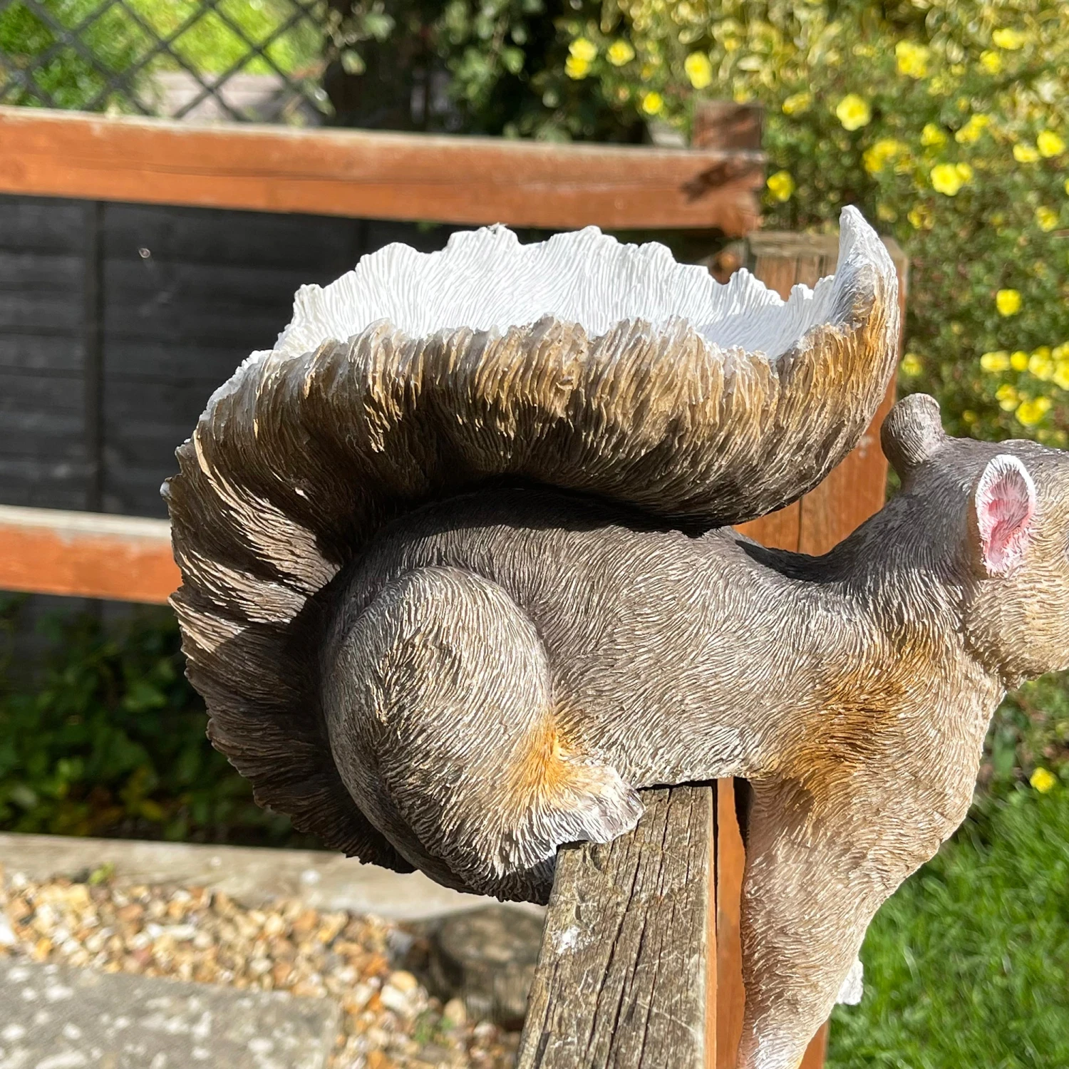 Darthome Limited Resin Fence Mounted Squirrel Bird Feeder 5 Darthome Limited Resin Fence Mounted Squirrel Bird Feeder - Image 5