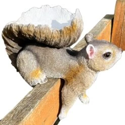 Darthome Limited Resin Fence Mounted Squirrel Bird Feeder 13 Darthome Limited Resin Fence Mounted Squirrel Bird Feeder -Decor Garden Shop IMG E2977copy