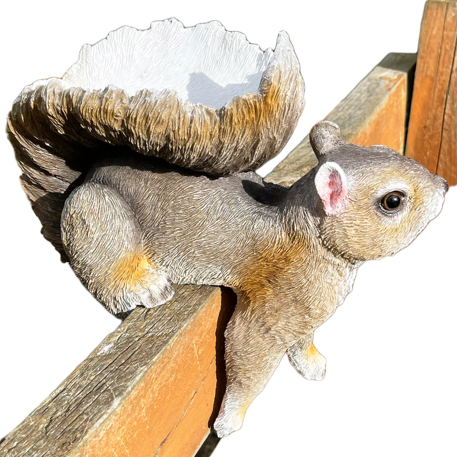 Darthome Limited Resin Fence Mounted Squirrel Bird Feeder 6 Darthome Limited Resin Fence Mounted Squirrel Bird Feeder - Image 6