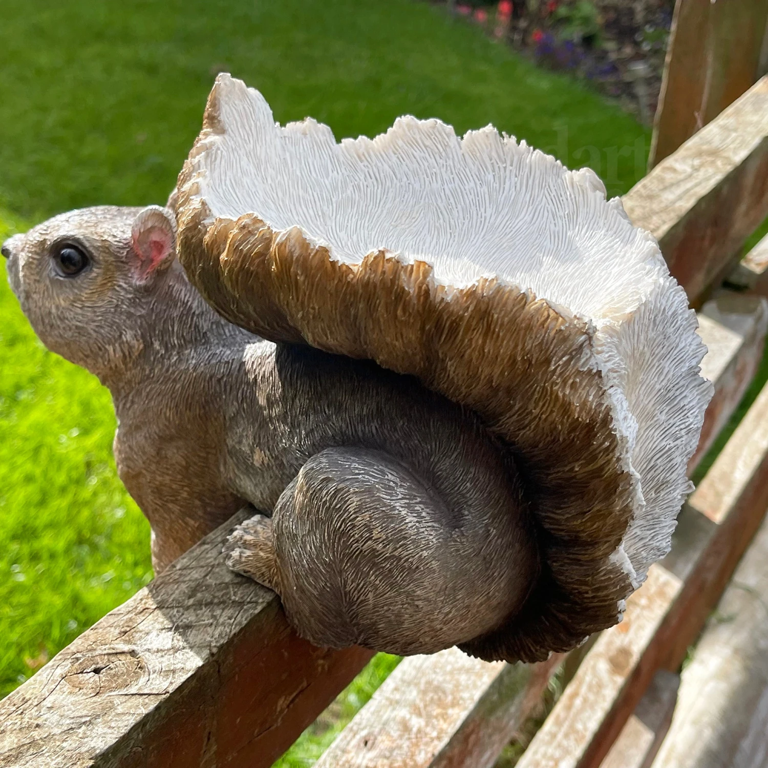 Darthome Limited Resin Fence Mounted Squirrel Bird Feeder 7 Darthome Limited Resin Fence Mounted Squirrel Bird Feeder - Image 7