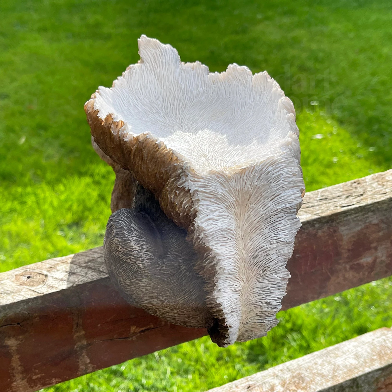 Darthome Limited Resin Fence Mounted Squirrel Bird Feeder 8 Darthome Limited Resin Fence Mounted Squirrel Bird Feeder - Image 8