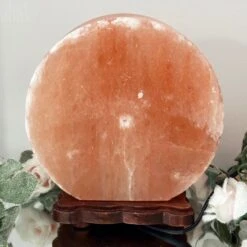 Darthome Limited Winter Stag Salt Lamp 15 Darthome Limited Winter Stag Salt Lamp -Decor Garden Shop IMG E2994 55f0e687 b8c0 4e38 a615 7eb17d9875bb