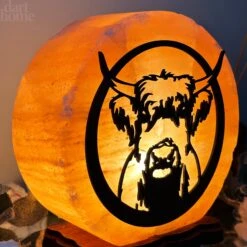 Darthome Limited Highland Cow Salt Lamp -Decor Garden Shop IMG E3001
