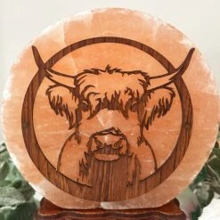 Darthome Limited Highland Cow Salt Lamp -Decor Garden Shop IMG E3008