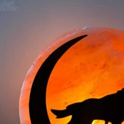 Darthome Limited Howling Fox Himalayan Salt Lamp -Decor Garden Shop IMG E3068 b439d7ef 64b3 4359 9baf 728a6c12a357