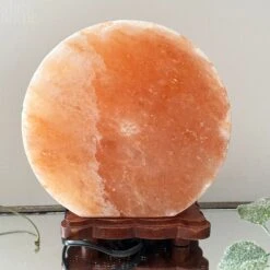 Darthome Limited Howling Fox Himalayan Salt Lamp -Decor Garden Shop IMG E3074 db3862aa 389f 4504 910a 479dedcb0989