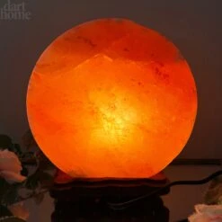Darthome Limited Safari Animal Himalayan Salt Lamp -Decor Garden Shop IMG E3089