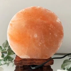 Darthome Limited Safari Animal Himalayan Salt Lamp -Decor Garden Shop IMG E3090