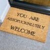 Darthome Limited You Are Absof**kinlutely Welcome Coir Door Mat