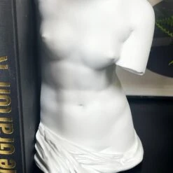 Darthome Limited White Roman Goddess Venus Bookends Set 10 Darthome Limited White Roman Goddess Venus Bookends Set -Decor Garden Shop IMG E3433