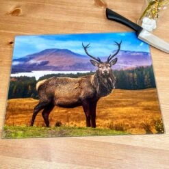 Darthome Limited Large Stag Glass Chopping Board -Decor Garden Shop IMG E3530 edited26