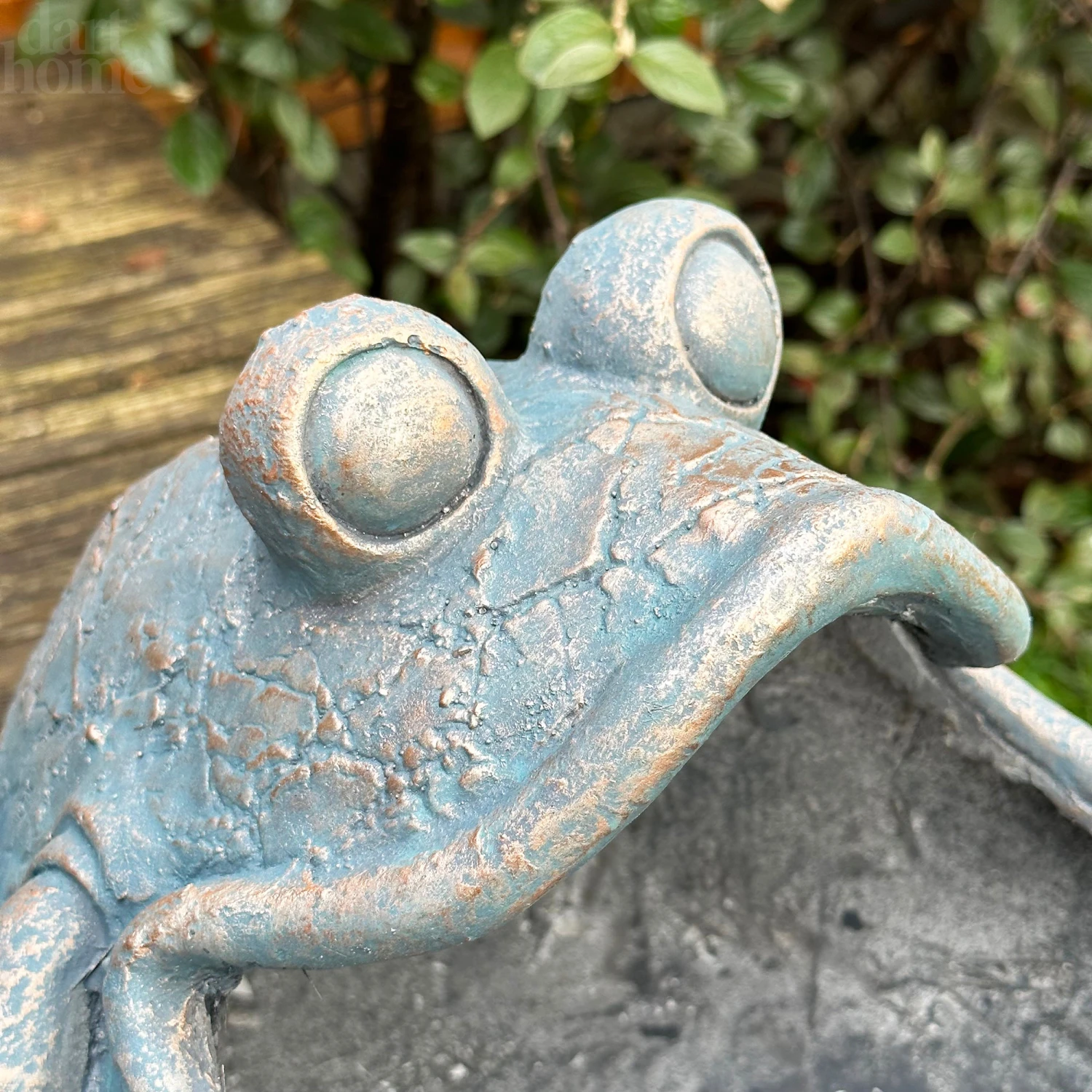 Darthome Limited Bull Frog Garden Planter 2 Darthome Limited Bull Frog Garden Planter - Image 2