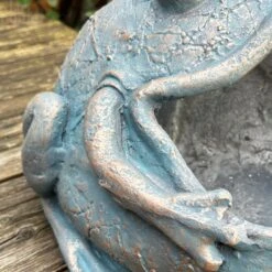 Darthome Limited Bull Frog Garden Planter 10 Darthome Limited Bull Frog Garden Planter -Decor Garden Shop IMG E3606