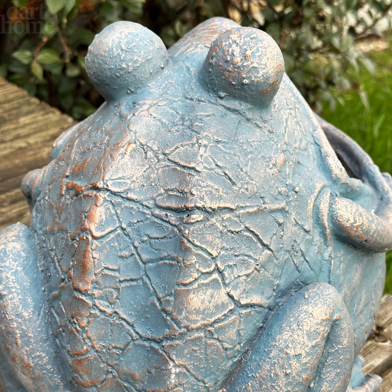 Darthome Limited Bull Frog Garden Planter 7 Darthome Limited Bull Frog Garden Planter - Image 7