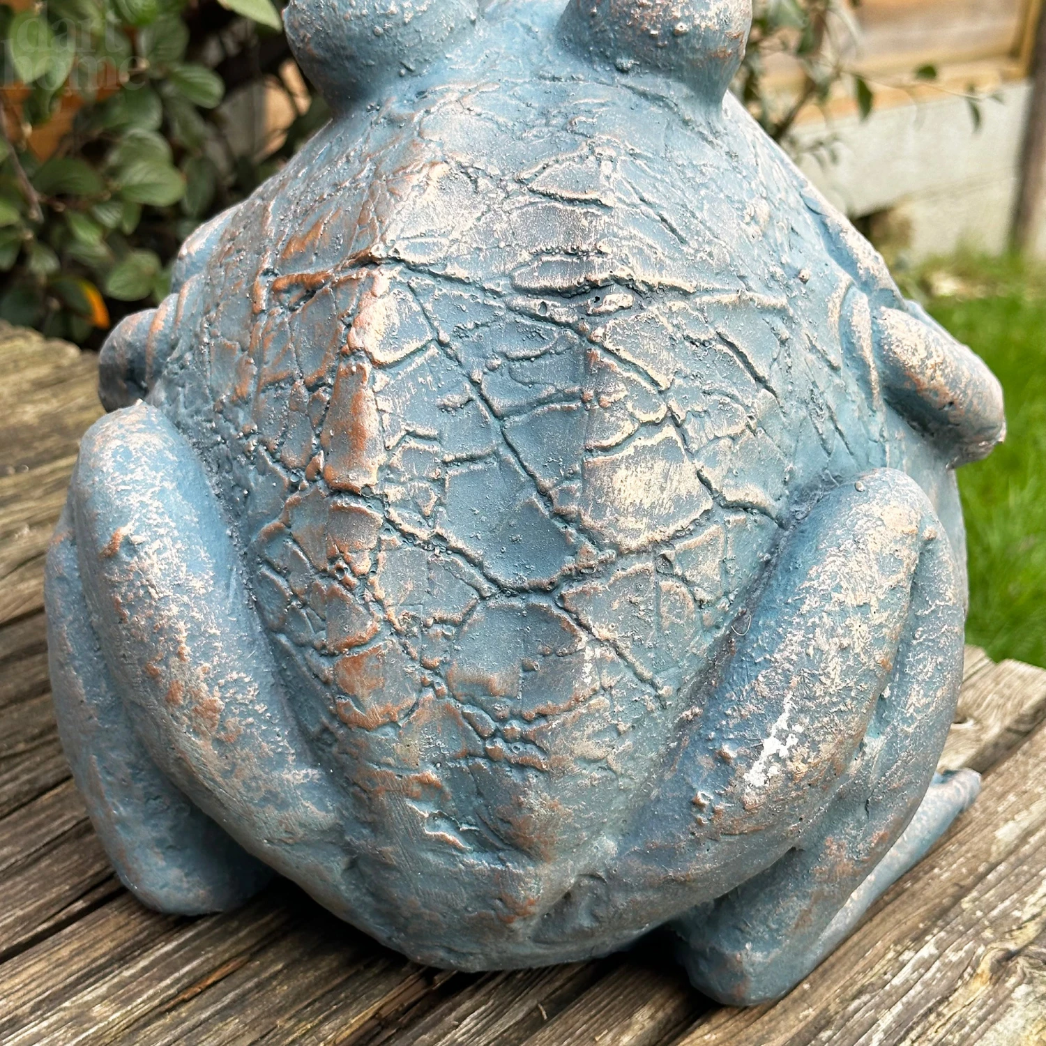 Darthome Limited Bull Frog Garden Planter 8 Darthome Limited Bull Frog Garden Planter - Image 8