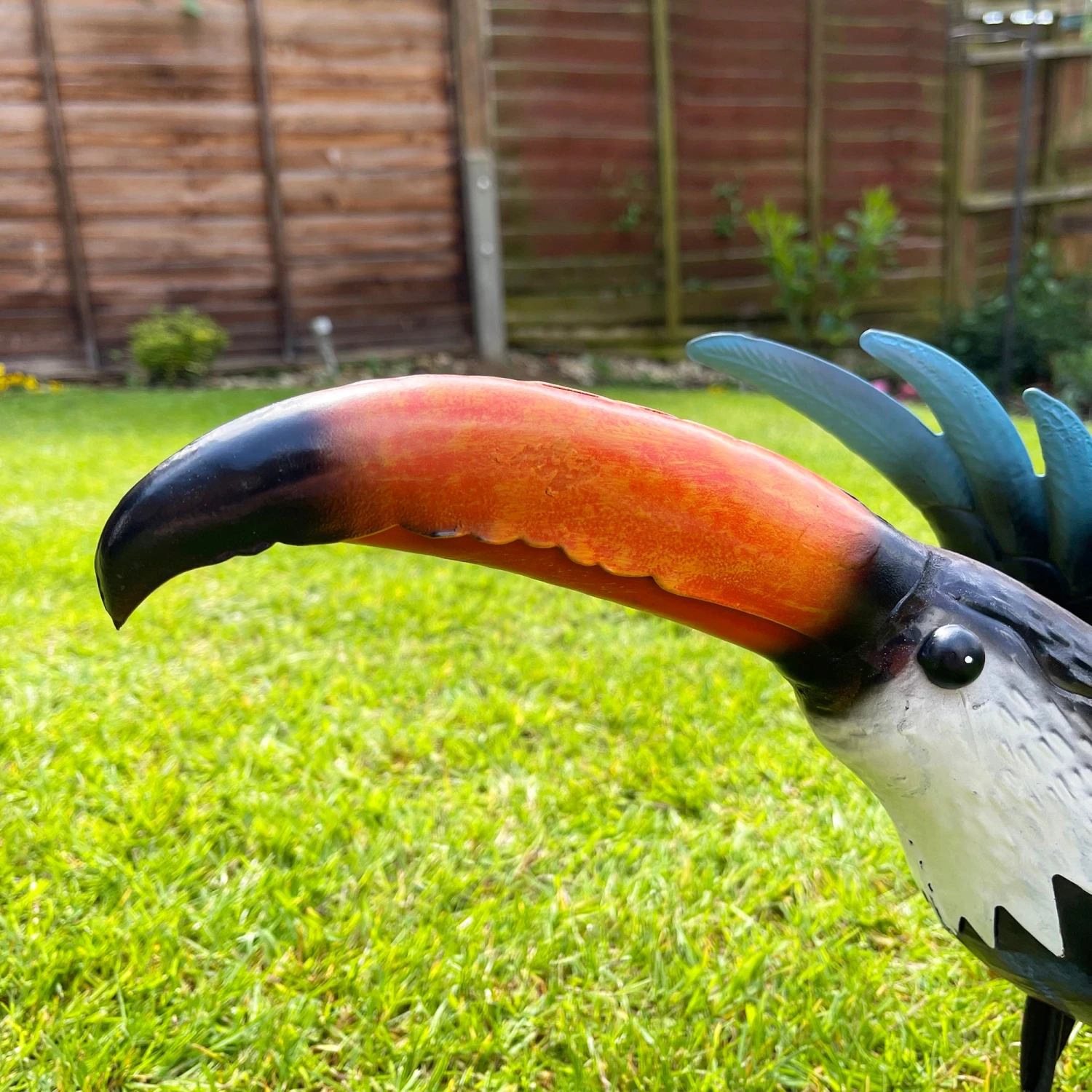 Darthome Limited Terry The Toucan Garden Ornament 2 Darthome Limited Terry The Toucan Garden Ornament - Image 2