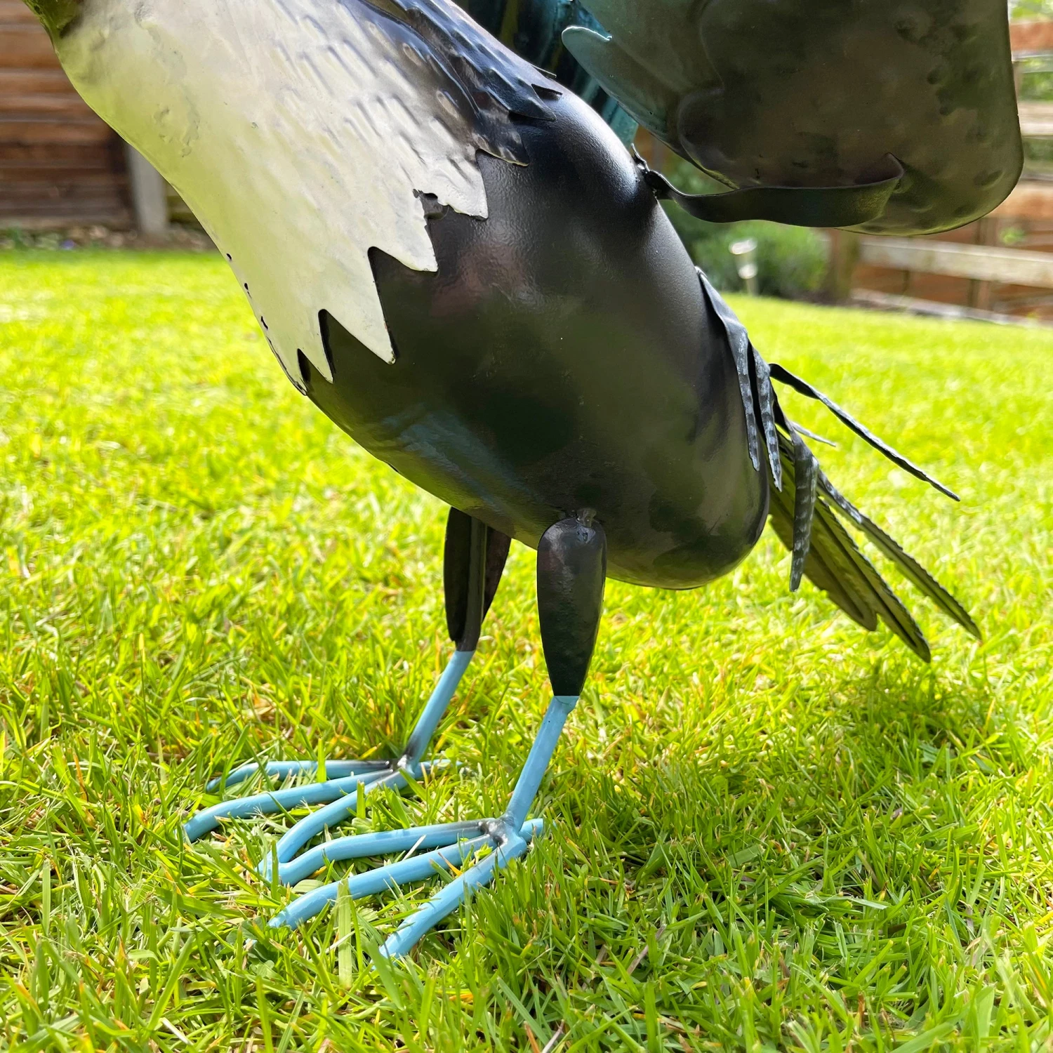 Darthome Limited Terry The Toucan Garden Ornament 4 Darthome Limited Terry The Toucan Garden Ornament - Image 4