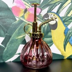 Darthome Limited Bobble Glass Plant Mister 200ml -Decor Garden Shop IMG E3865